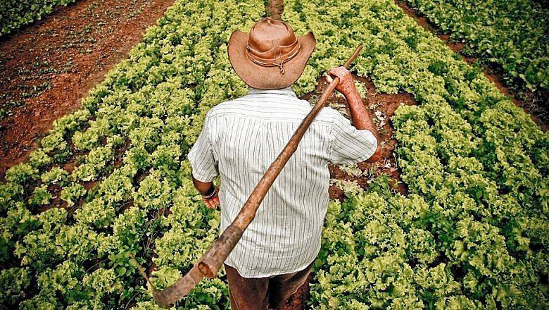 Día Mundial de la Agricultura|libro tecnologia horticola mediterranea